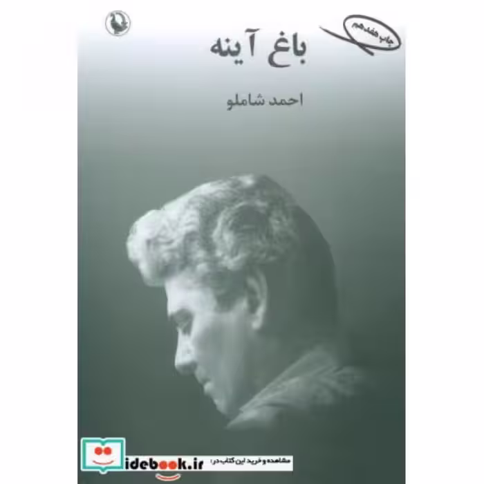 کتاب باغ آینه