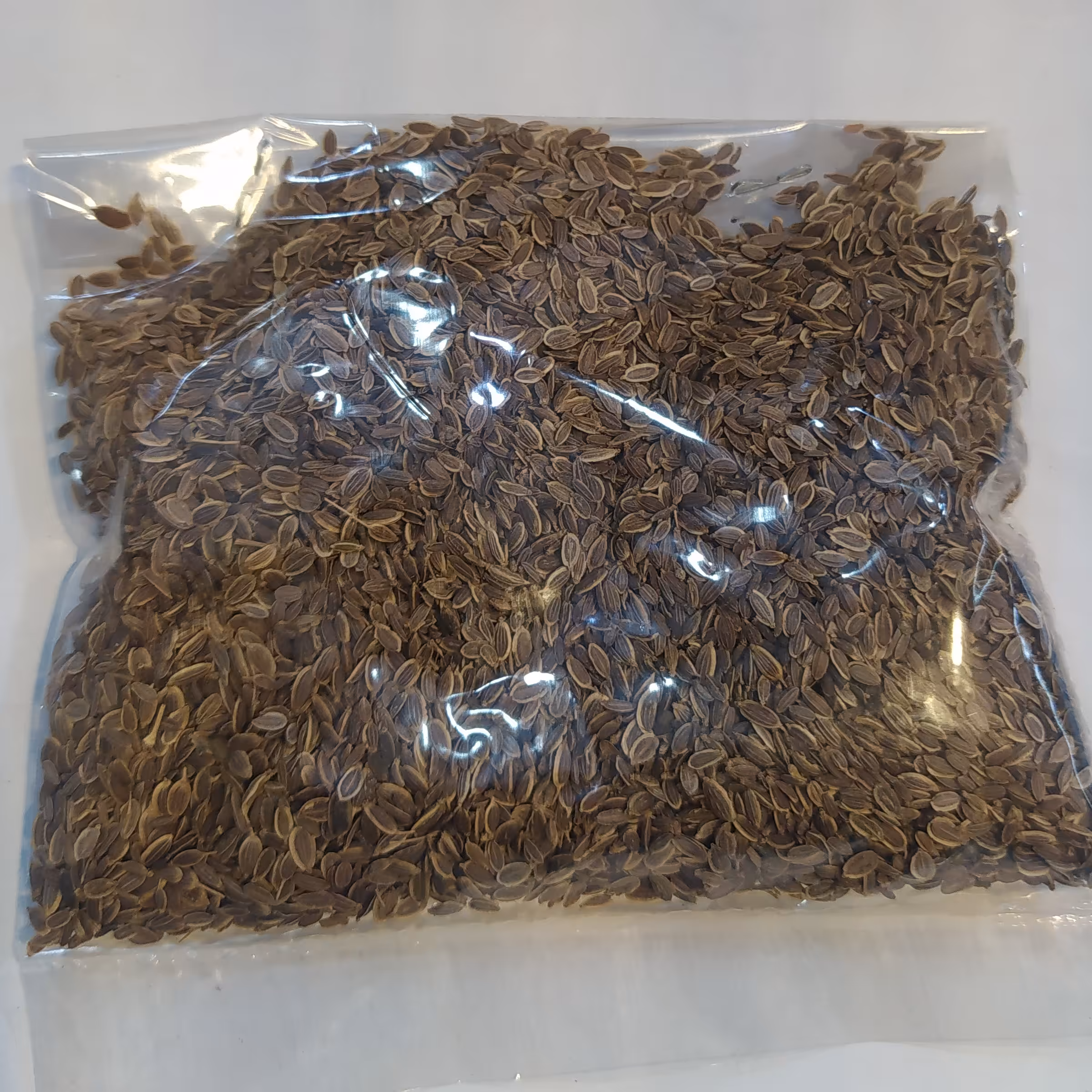 بذر سبزی شوید