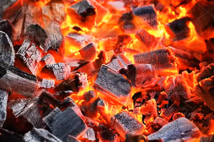 عکس زغال روشن | گرافیک با طعم تربچه