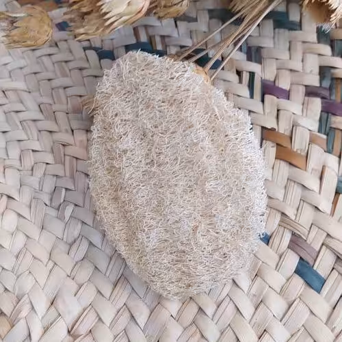 5 عدد پد و لیف شستشو صورت گیاهی لوفا