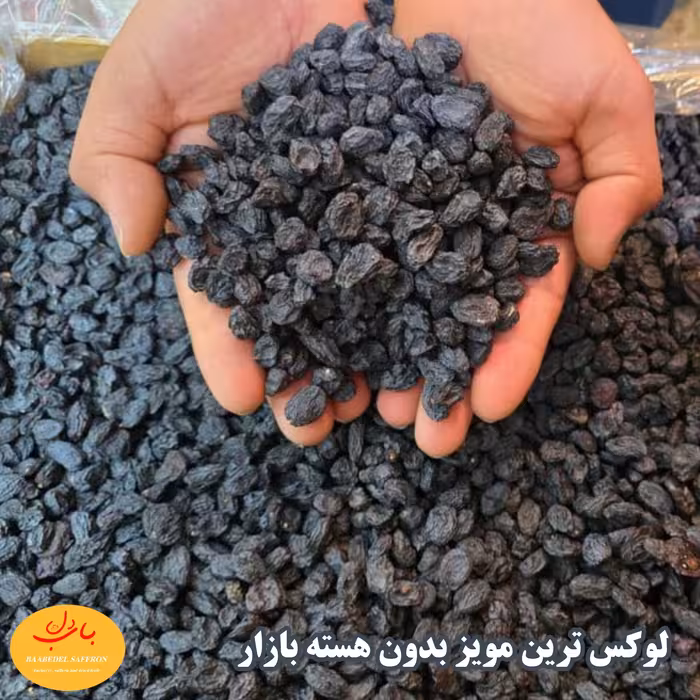 مویز سیاه افغان لوکس و صادراتی باب دل (رضایت 100درصد مشتریان )