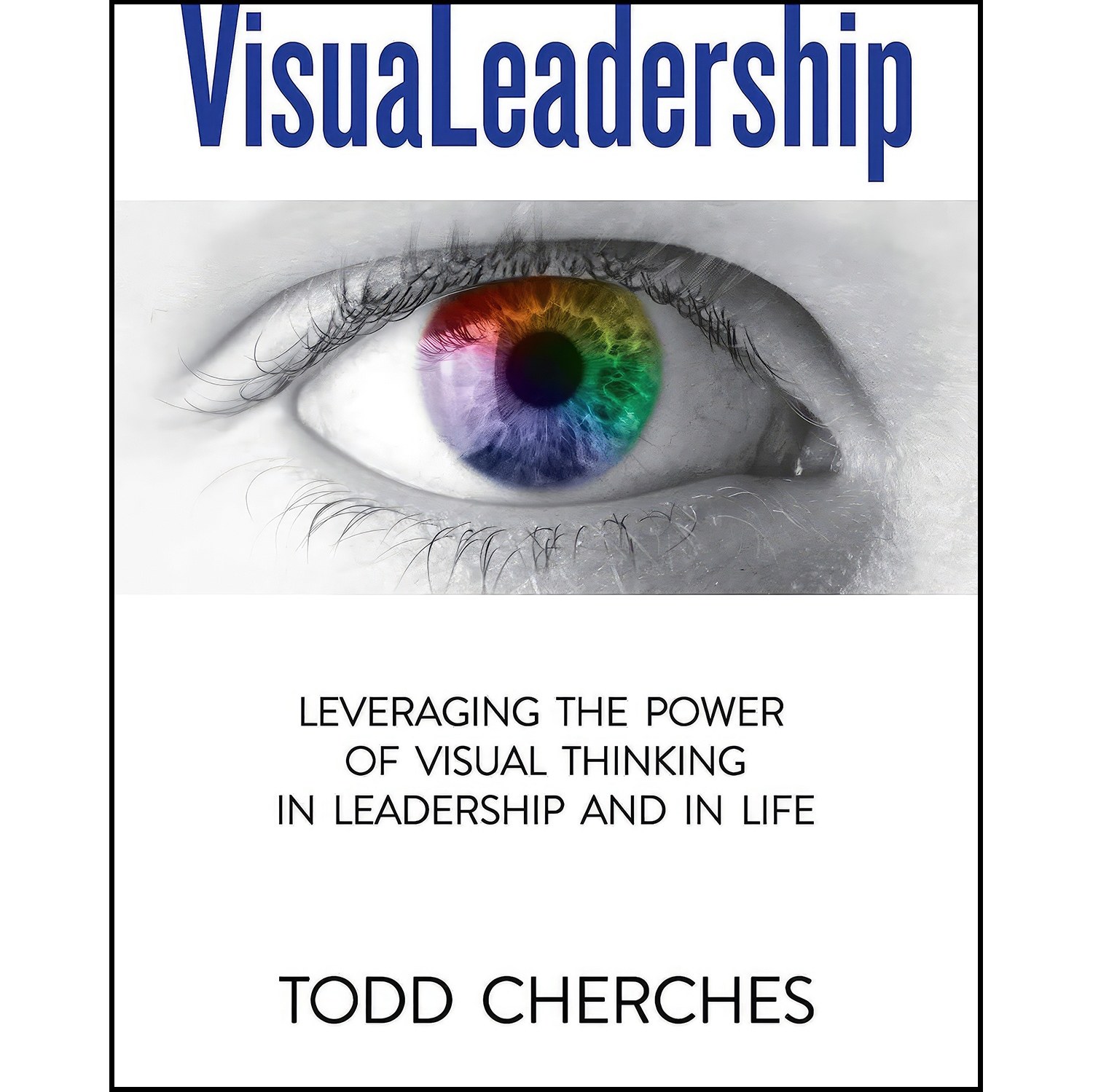کتاب زبان اصلی VisuaLeadership اثر Todd Cherches