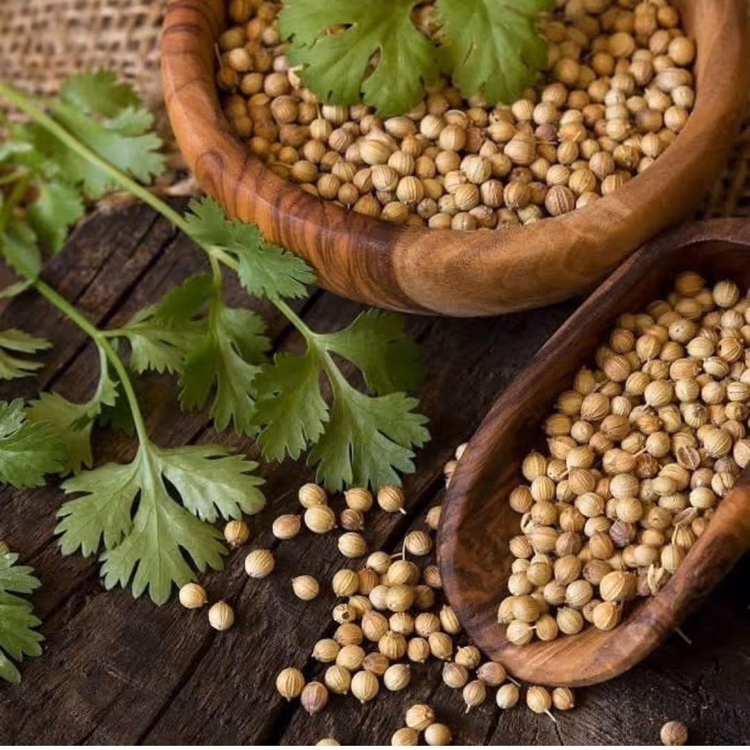 تخم گشنیز تمیز