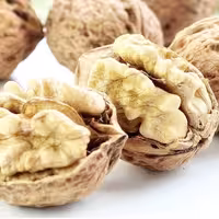 گردو تازه امسالی تویسرکان همدان