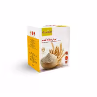 پودر جوانه گندم بین استار (دکتر بیز) 25 عددی