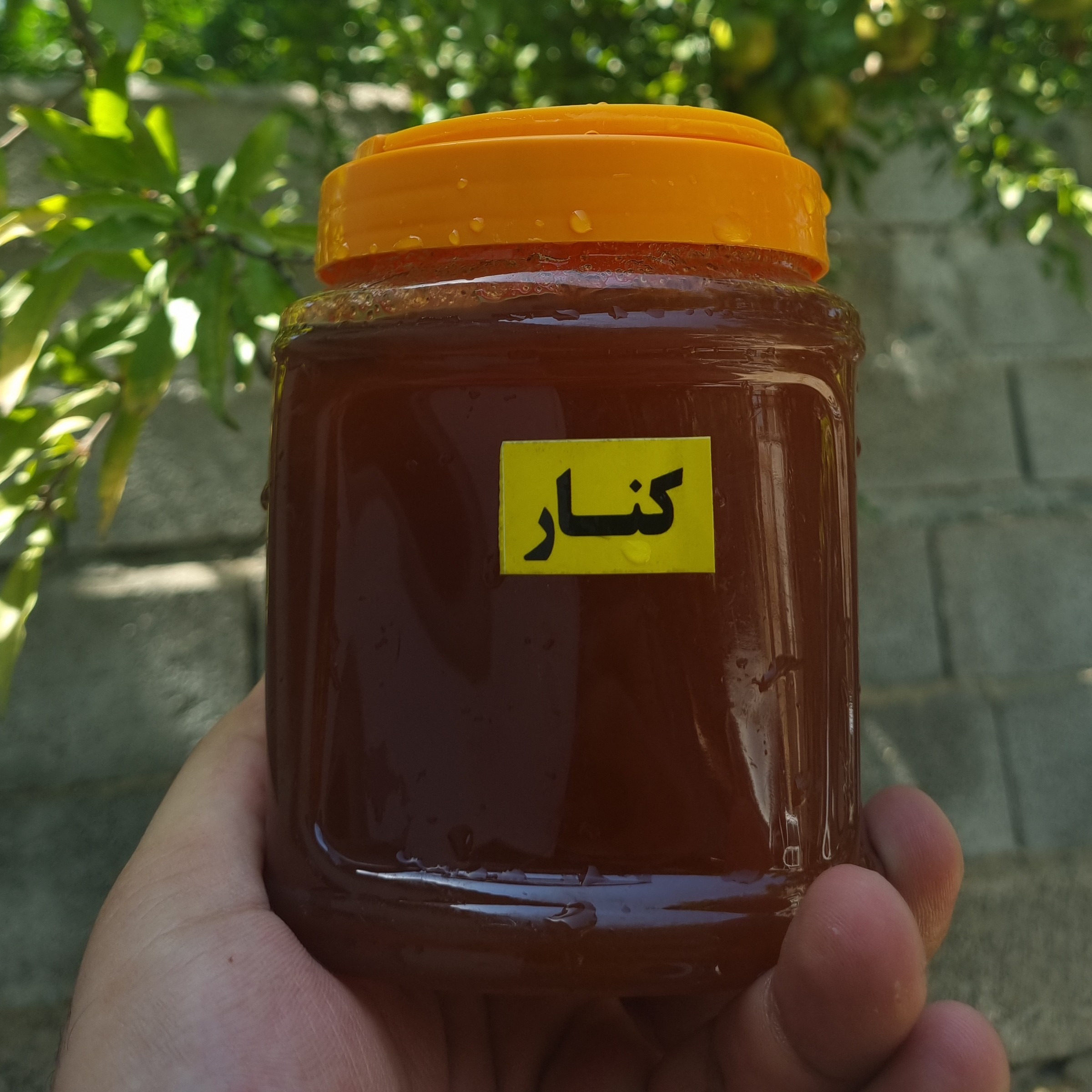عسل کنار