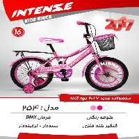 دوچرخه بچگانه اینتنس 16 254 2017