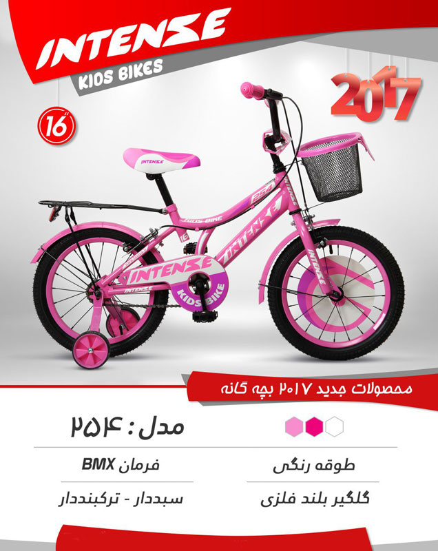 دوچرخه بچگانه اینتنس 16 254 2017
