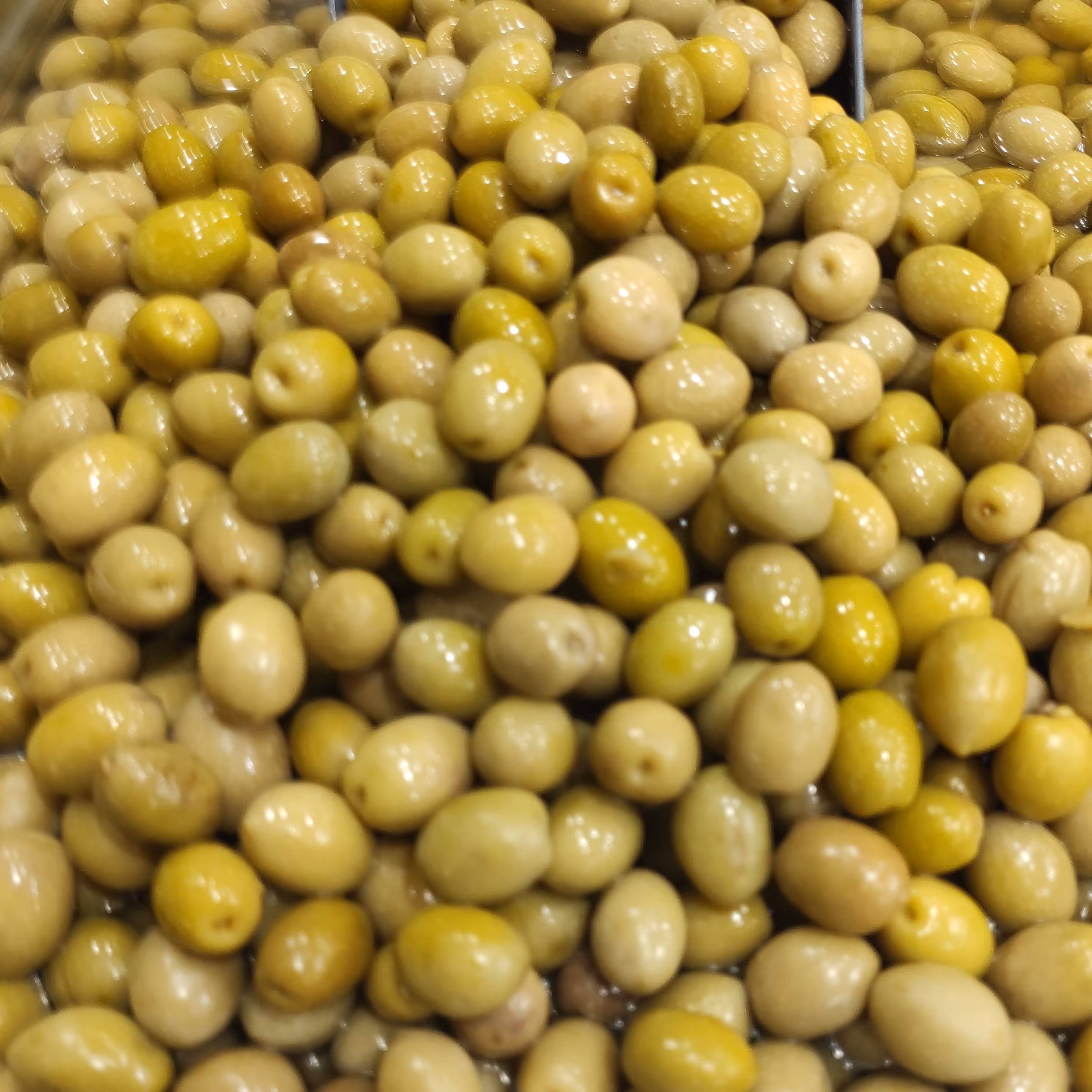 زیتون کنسروی ممتاز برداشت 1403(1000گرم)