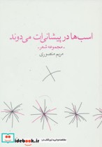 قیمت و خرید کتاب اسب ها در پیشانی ات می دوند | ایده بوک