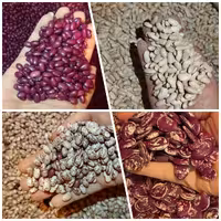 پک چهار لوبیا پر طرفدار با تخفیف ویژه و کیفیت عالی پاک شده و دستچین شده (وزن 2000گرم از هرکدام500گرم)