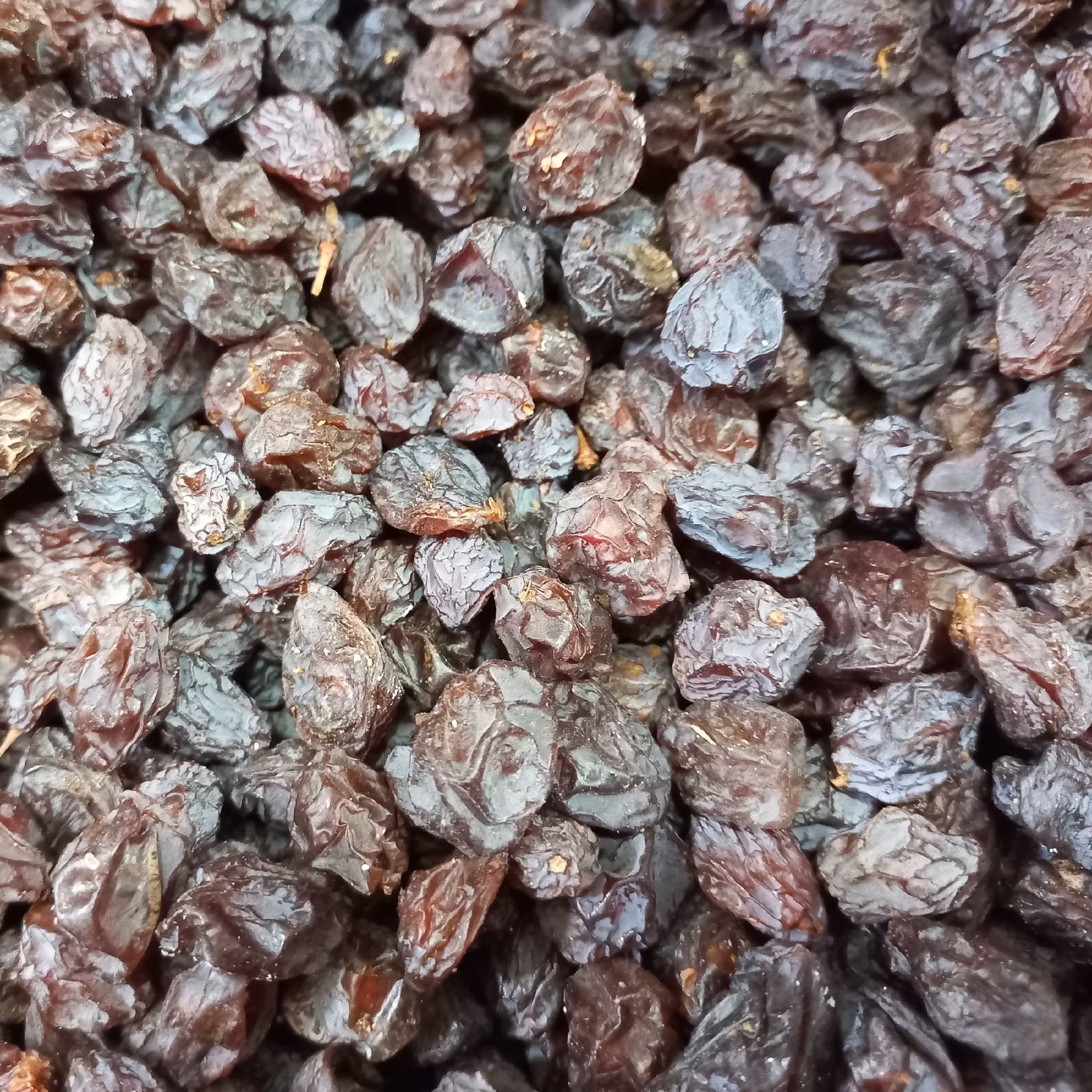 مویز هسته دار 1کیلویی