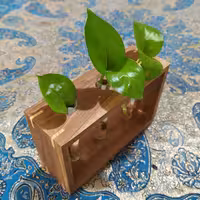 گلدان چوبی پرورش گیاه