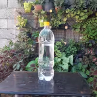 گلاب ویژه یک لیتری از گل خالص