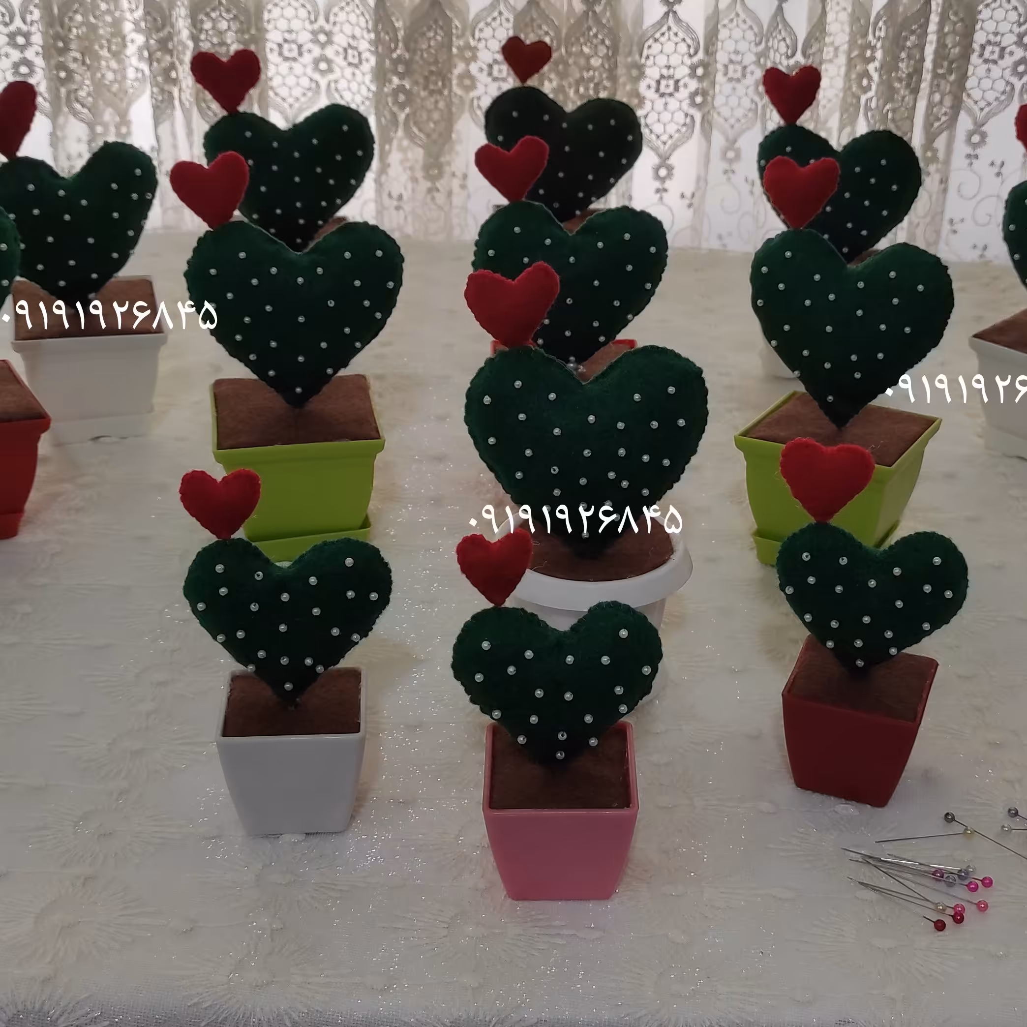 گلدان کاکتوس قلبی