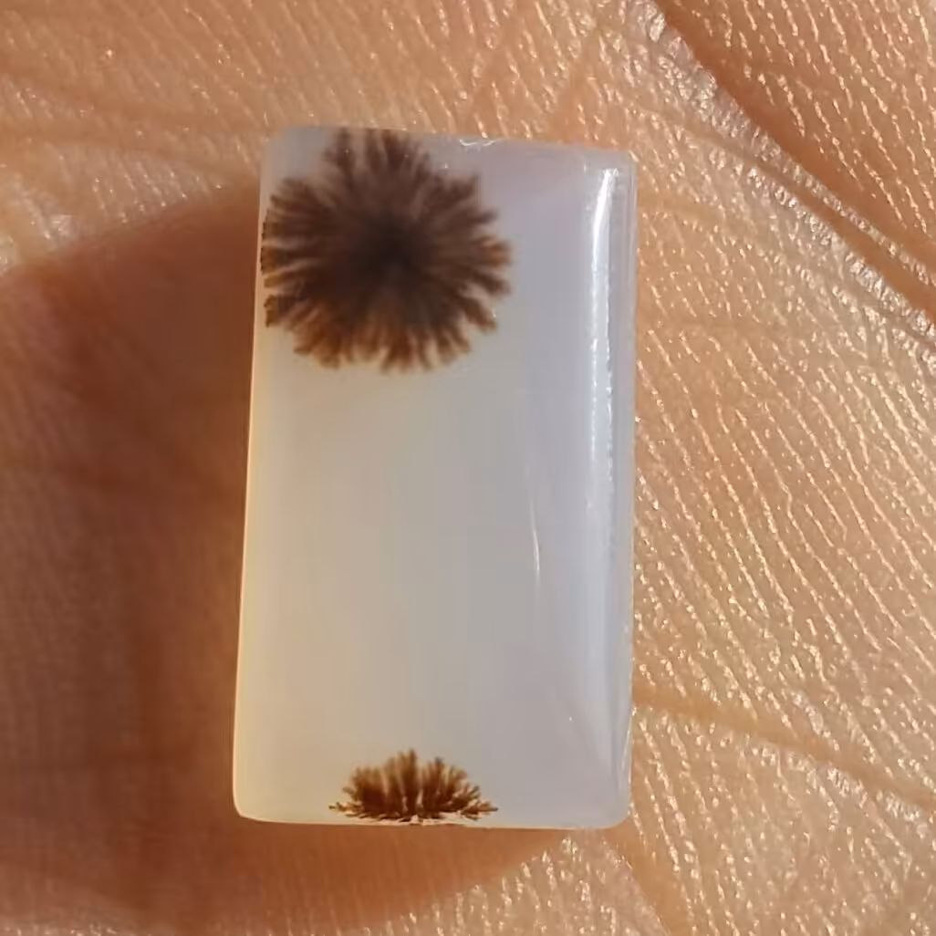 نگین عقیق شجر واضح بی نظیر خاص شاهکار خلقت 100 در صد طبیعی
محششششر
