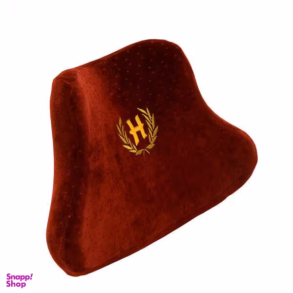 پشت کمری هوشمند (Hooshmand) مدل Home