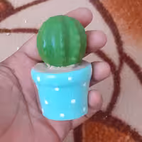 قالب سیلیکونی کاکتوس