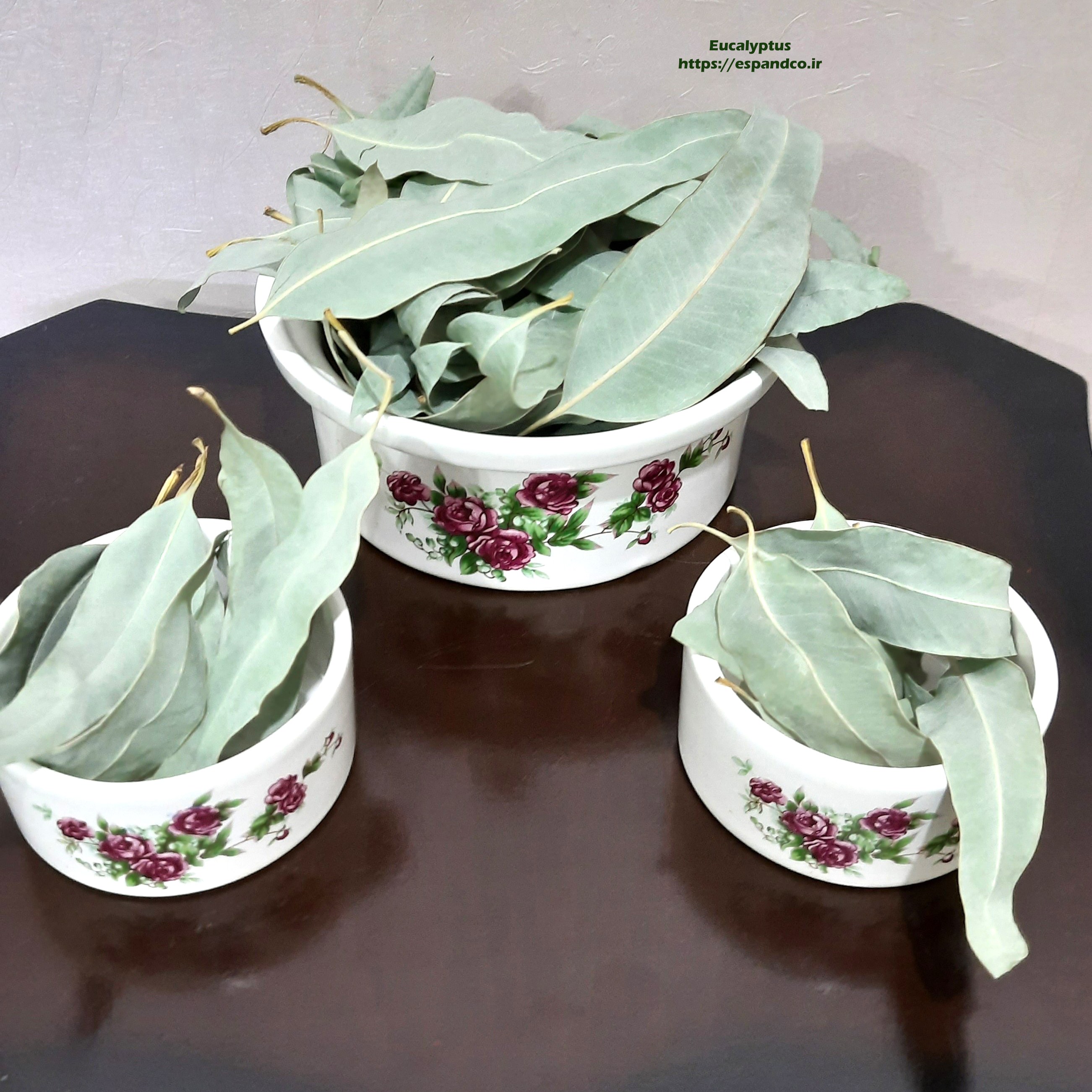 برگ خشک اکالیپتوس (50 گرم)