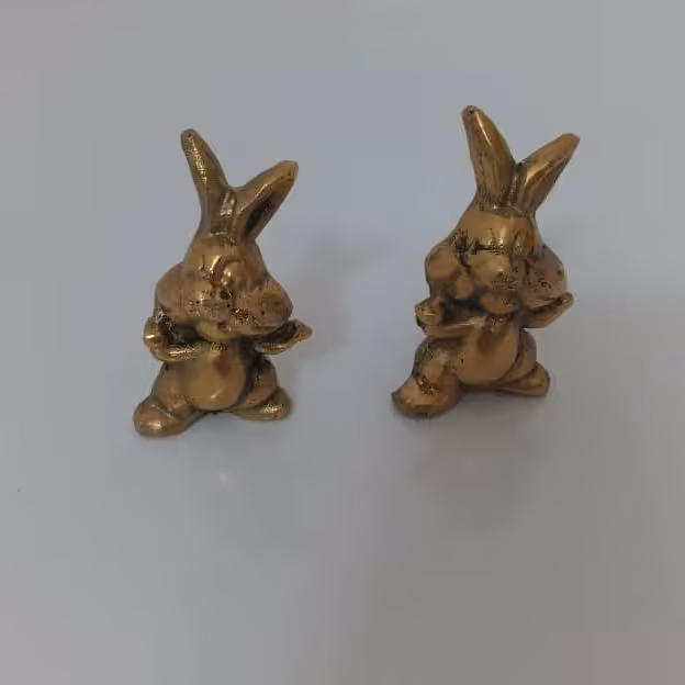 بچه خرگوش های زیبا 
ارتفاع 7سانت
 وزن 200گرم قیمت