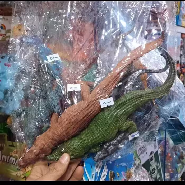 تمساح کوچک به انتخاب مشتری