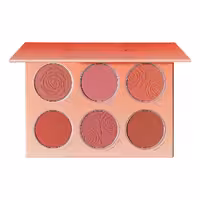 قیمت و خرید پالت رژگونه 6 رنگ شیگلم مدل Floral Flush رنگ Multicolor ⚡ اصل