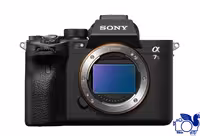 Sony Alpha a7S III Mirrorless Digital Camera (Body Only)