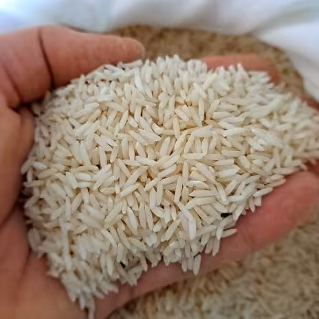 برنج  شیرودی  یک کیلویی