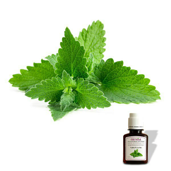 روغن بادرنجبویه 30 سی  سی 