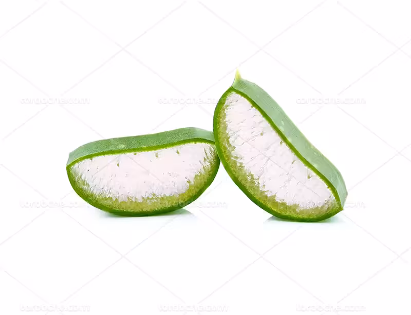 عکس آلورا | گرافیک با طعم تربچه