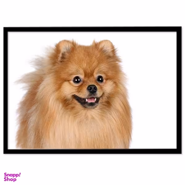 تابلو بکلیت طرح سگ خانگی مدل B-289