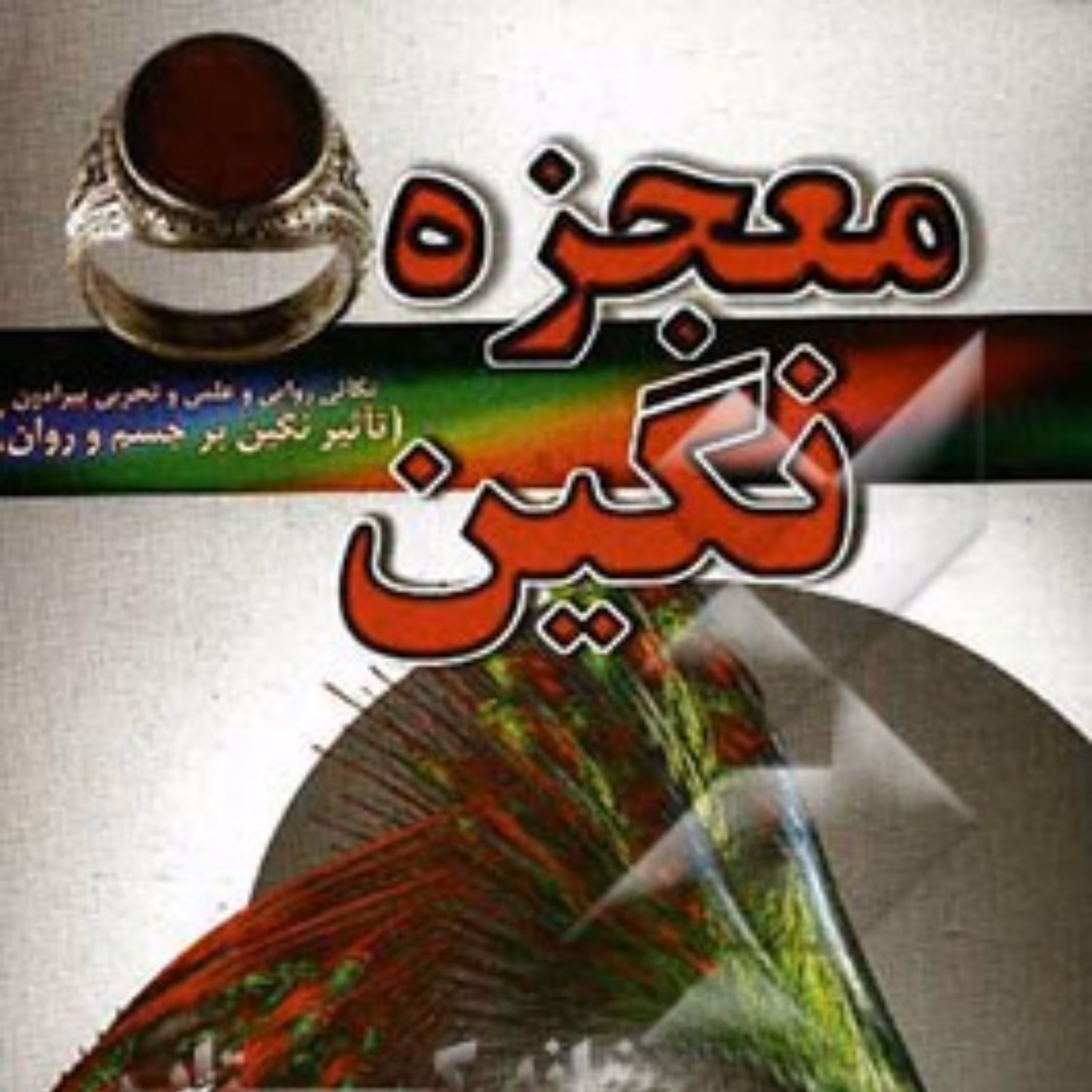 کتاب معجزه نگین