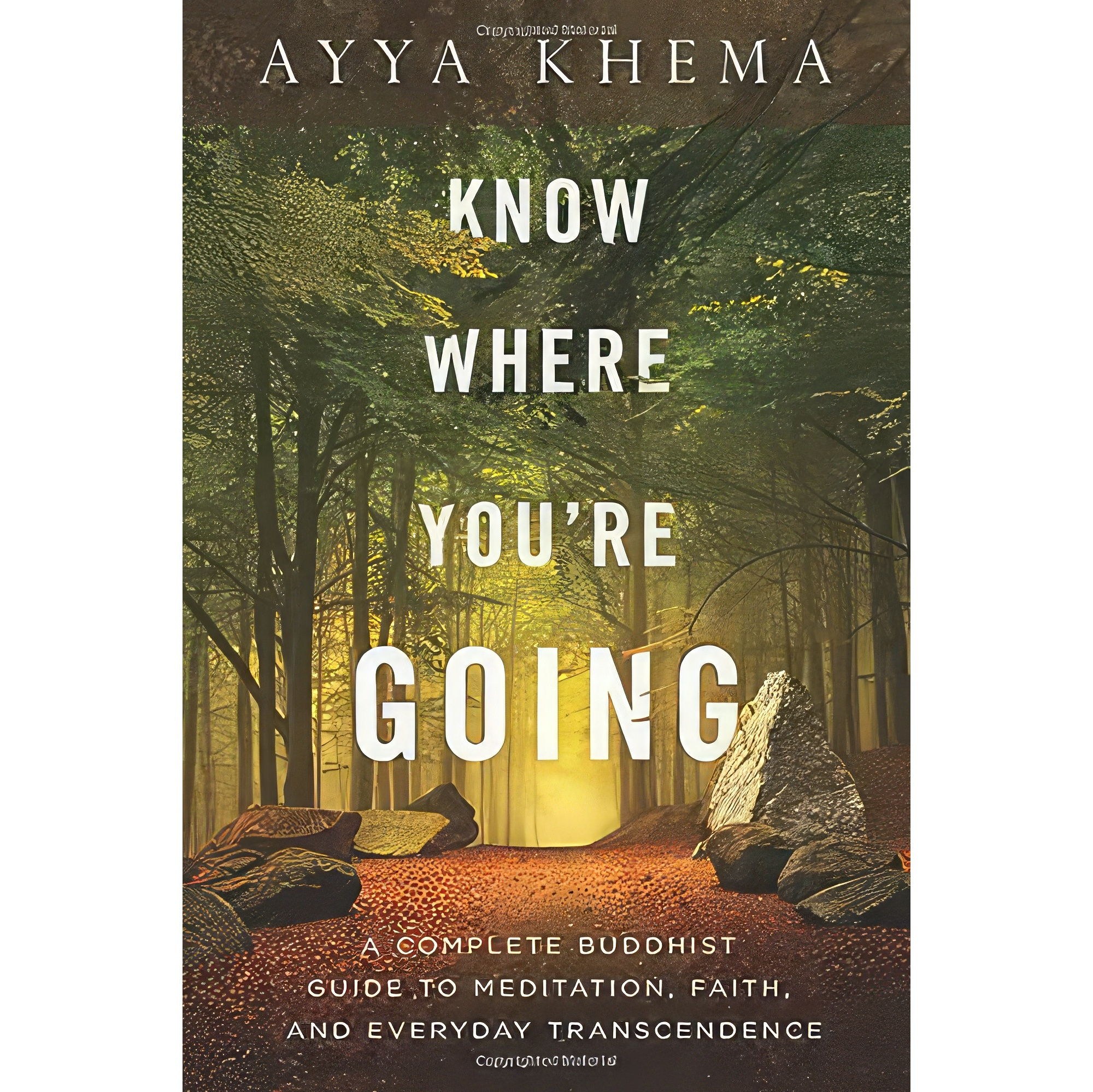 کتاب زبان اصلی Know Where Youre Going اثر Ayya Khema