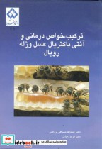قیمت و خرید کتاب ترکیب اثر حمدالله مشتاقی بروجنی | ایده بوک