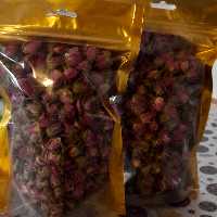 غنچه گل محمدی