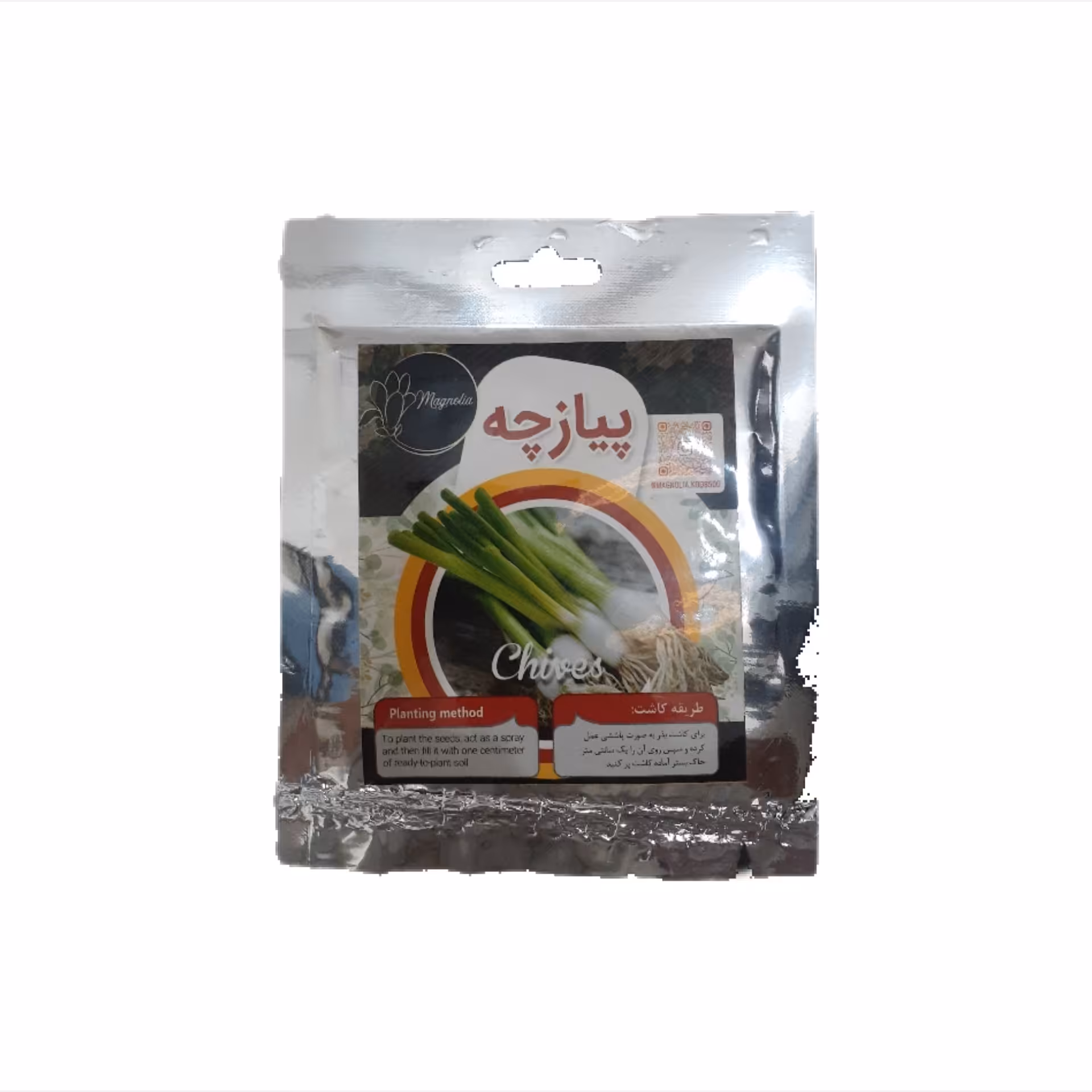 بذر پیازچه