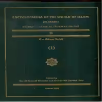 دایرتمعارف العالم الاسلامی - جلد 11