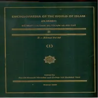 دایرتمعارف العالم الاسلامی - جلد 11