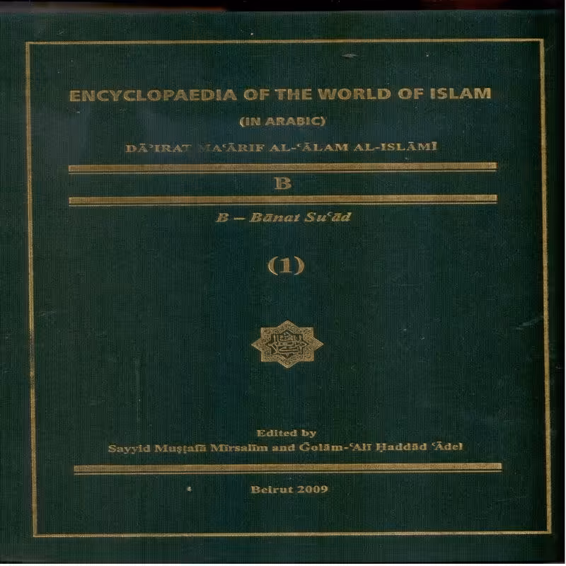 دایرتمعارف العالم الاسلامی - جلد 11