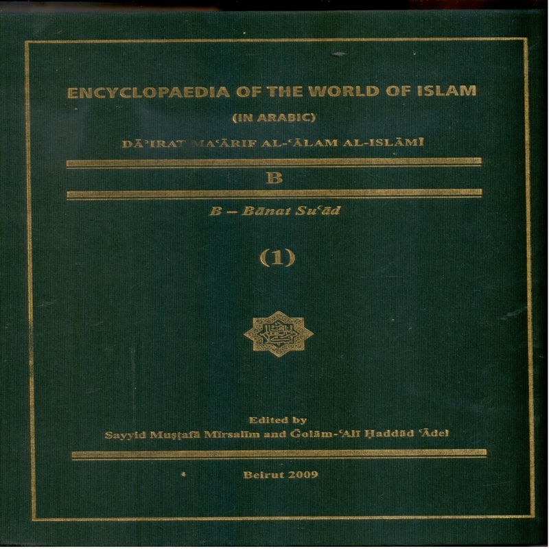 دایرتمعارف العالم الاسلامی - جلد 11