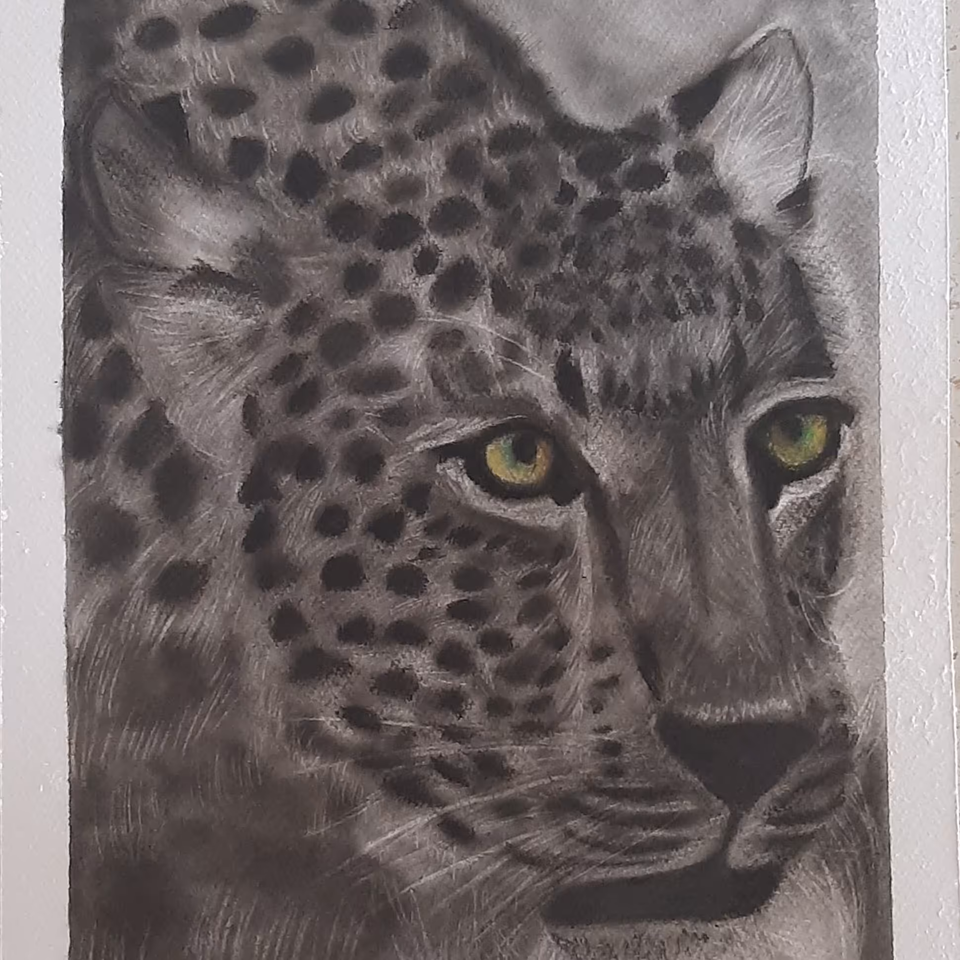 طراحی سیاه قلم  