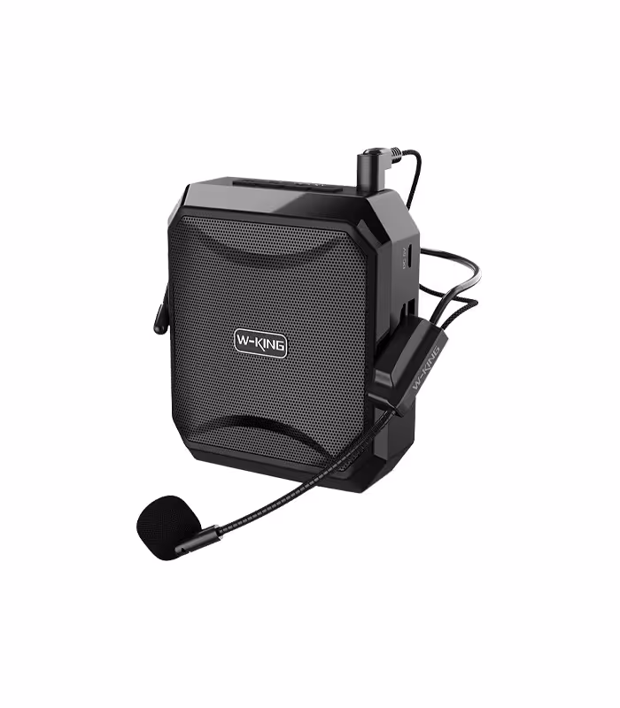 اسپیکر بلوتوثی دبلیو کینگ مدل KS01 Voice Amplifier