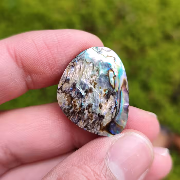 نگین صدف آبالون دابلت شده کد 217