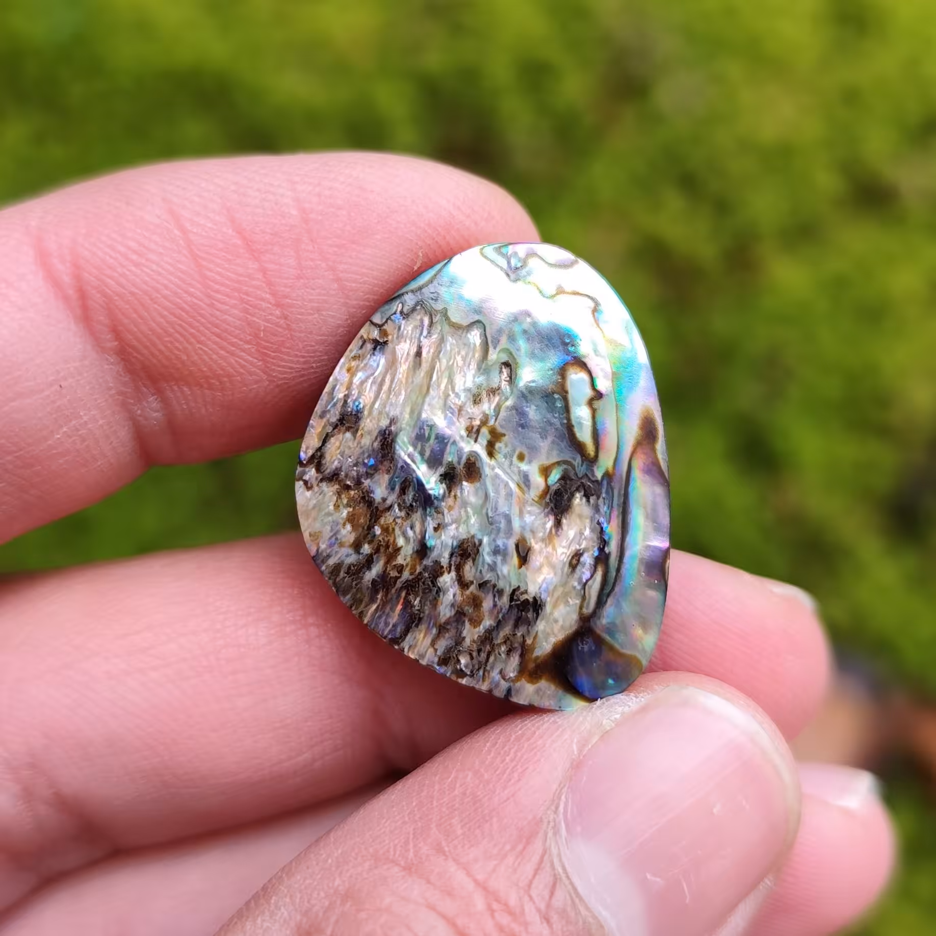 نگین صدف آبالون دابلت شده کد 217