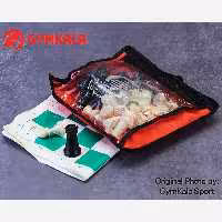 شطرنج فدراسیونی آیدین معمولی 