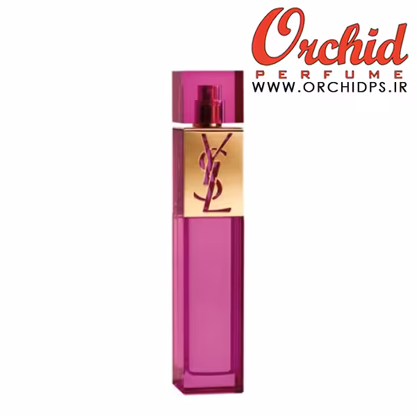 YVES SAINT LAURENT Elle