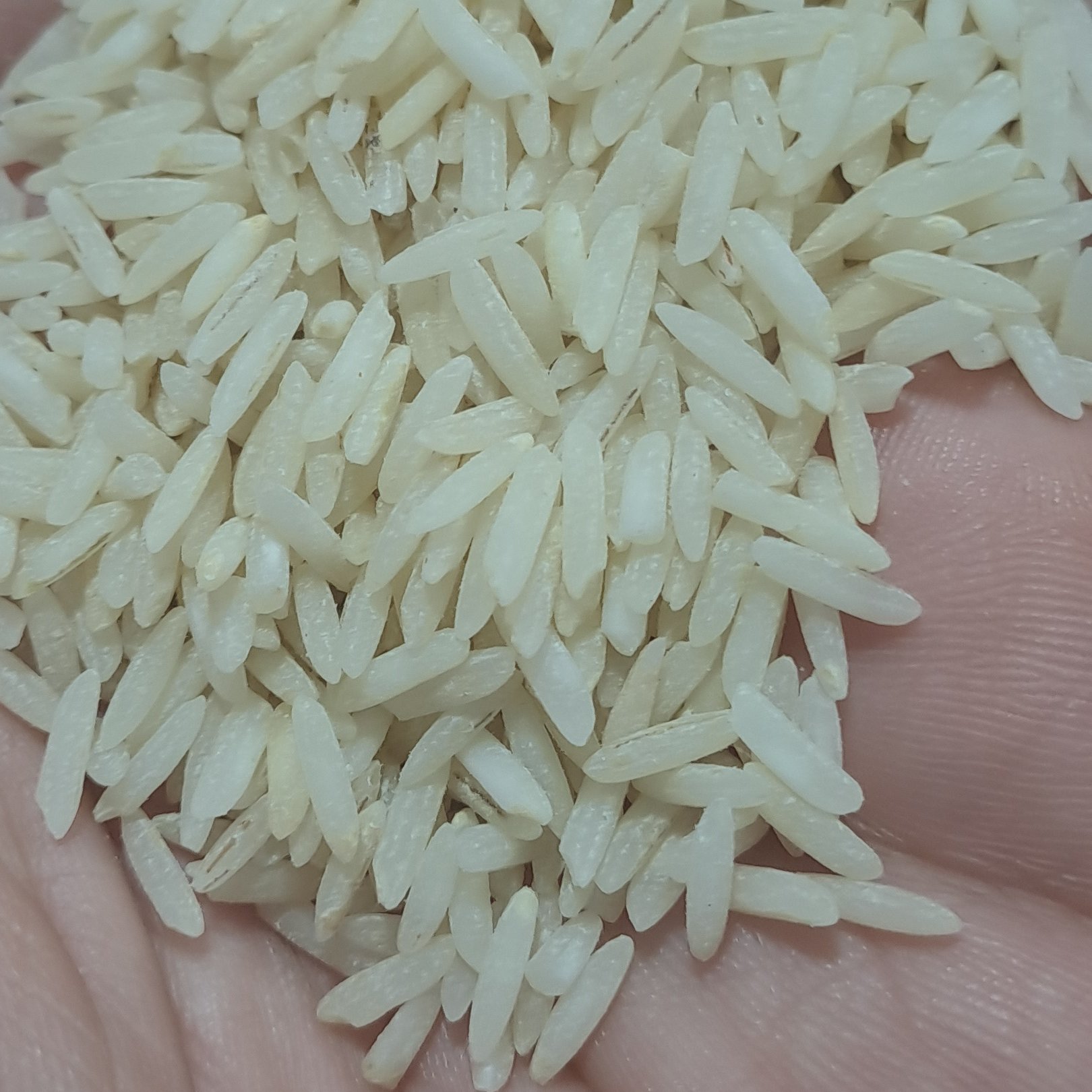 برنج دودی