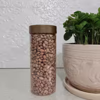 لوبیا چیتی خوش پخت