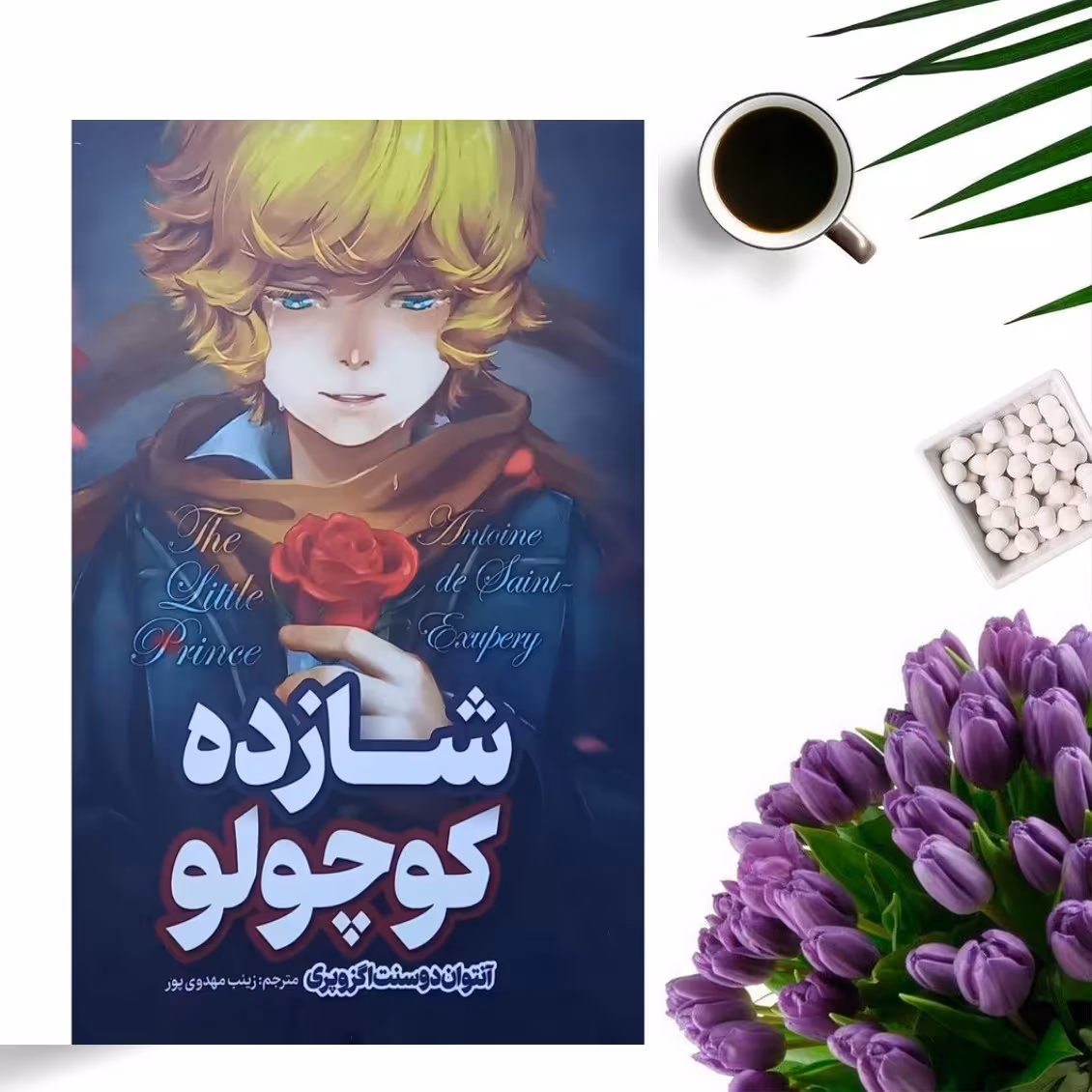 کتاب شازده کوچولو اثر آنتوان دوسنت اگزوپری انتشارات نگاه آشنا
