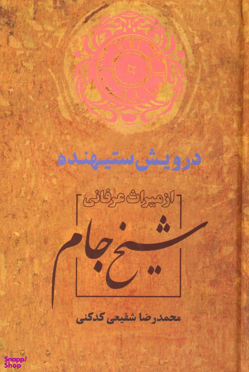 کتاب درویش ستیهنده اثر دکتر محمدرضا شفیعی کدکنی انتشارات سخن